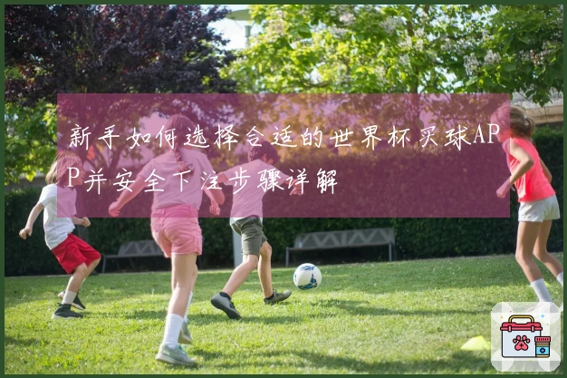 新手如何选择合适的世界杯买球APP并安全下注步骤详解