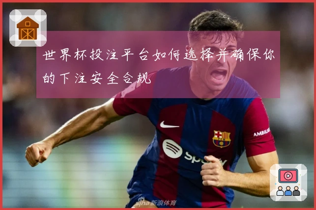 世界杯投注平台如何选择并确保你的下注安全合规