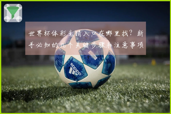 世界杯体彩竞猜入口在哪里找？新手必知的几个关键步骤和注意事项