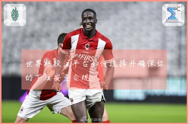 世界杯投注平台如何选择并确保你的下注安全合规