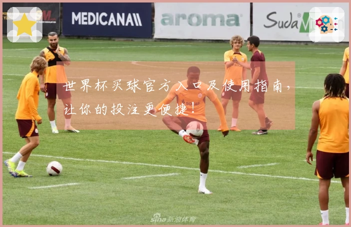 世界杯买球官方入口及使用指南,让你的投注更便捷!