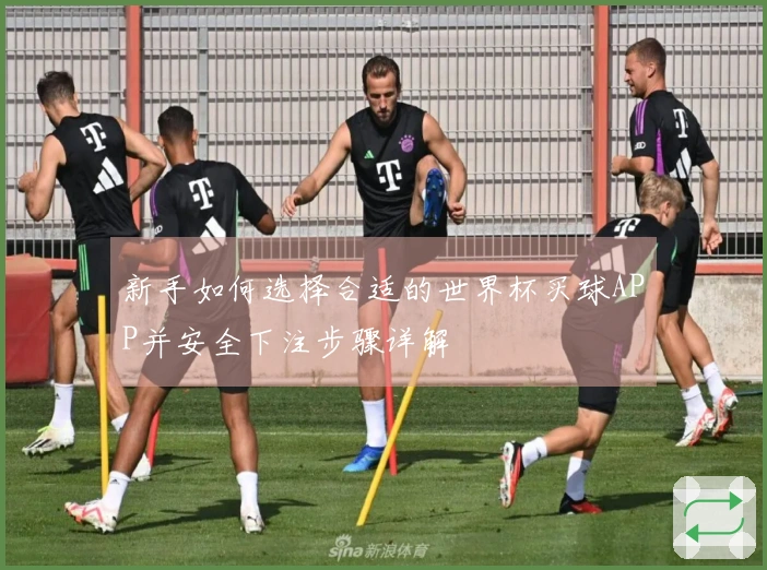 新手如何选择合适的世界杯买球APP并安全下注步骤详解