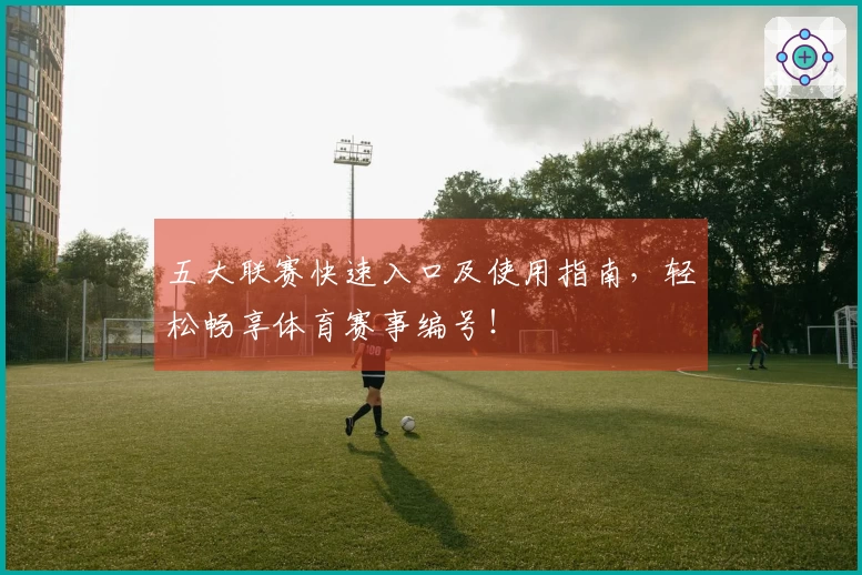 五大联赛快速入口及使用指南，轻松畅享体育赛事编号！