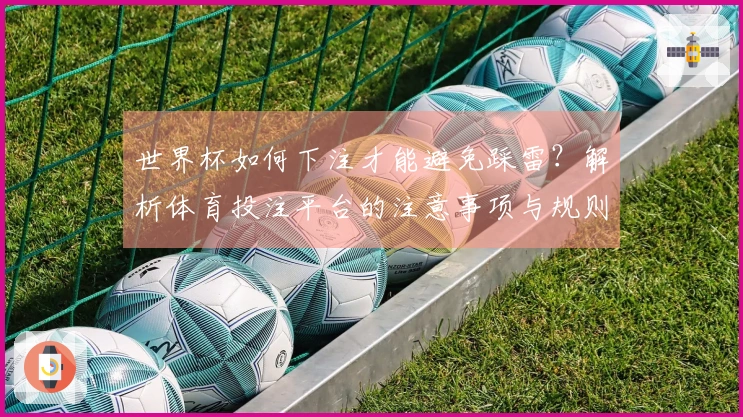 世界杯如何下注才能避免踩雷？解析体育投注平台的注意事项与规则