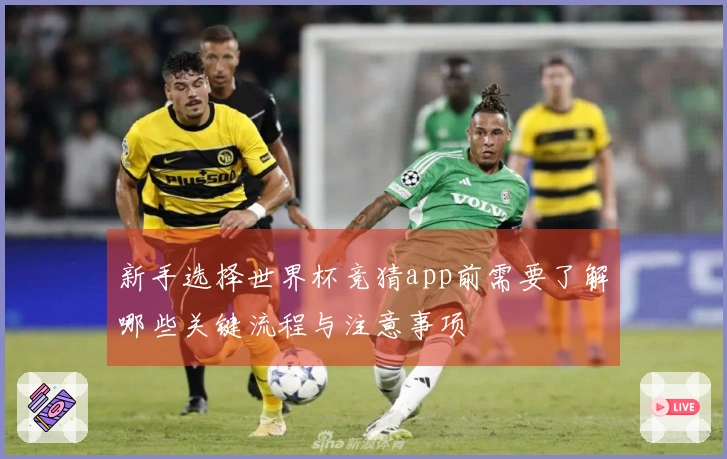新手选择世界杯竞猜app前需要了解哪些关键流程与注意事项