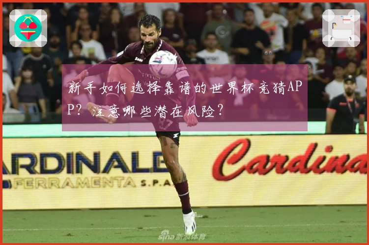 新手如何选择靠谱的世界杯竞猜APP？注意哪些潜在风险？