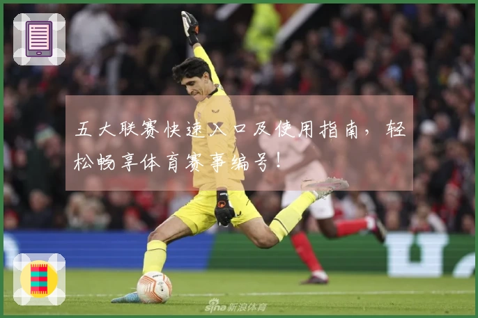 五大联赛快速入口及使用指南,轻松畅享体育赛事编号!