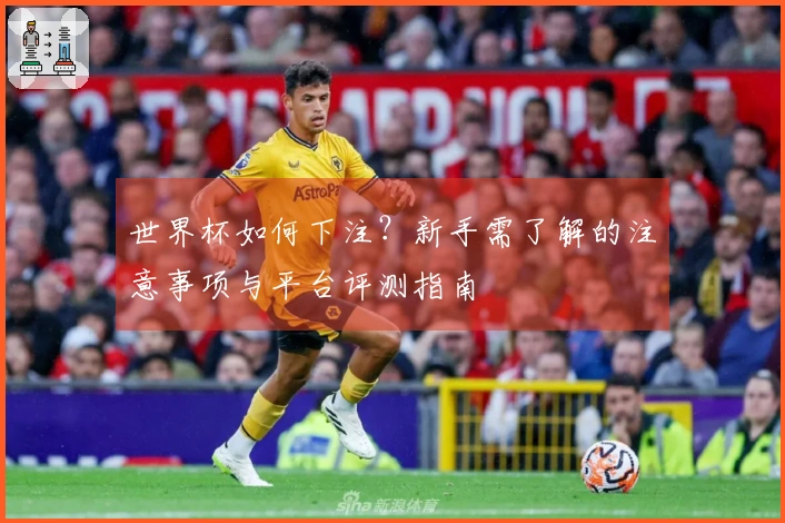 世界杯如何下注？新手需了解的注意事项与平台评测指南
