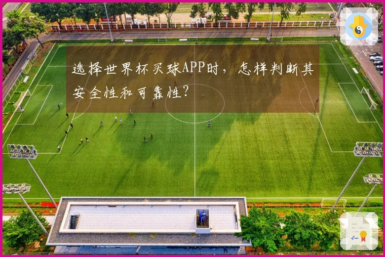 选择世界杯买球APP时，怎样判断其安全性和可靠性？
