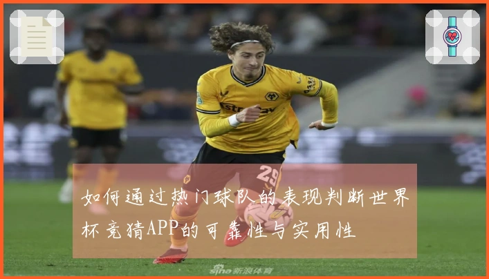 如何通过热门球队的表现判断世界杯竞猜APP的可靠性与实用性