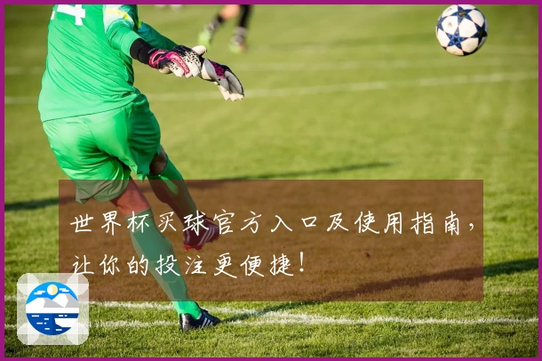 世界杯买球官方入口及使用指南，让你的投注更便捷！