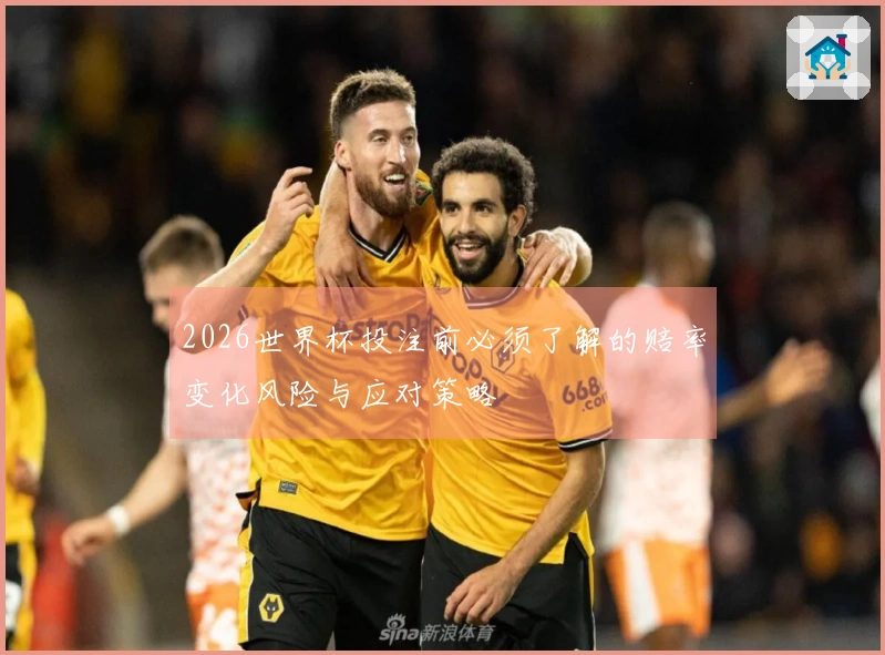 2026世界杯投注前必须了解的赔率变化风险与应对策略