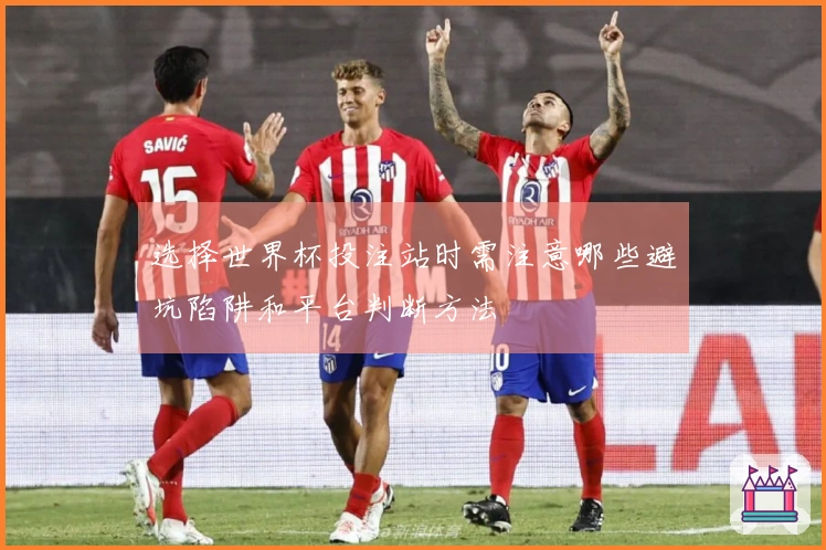 选择世界杯投注站时需注意哪些避坑陷阱和平台判断方法