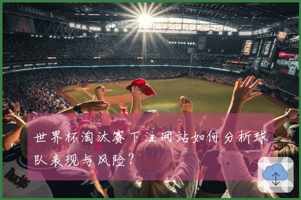 世界杯淘汰赛下注网站如何分析球队表现与风险？