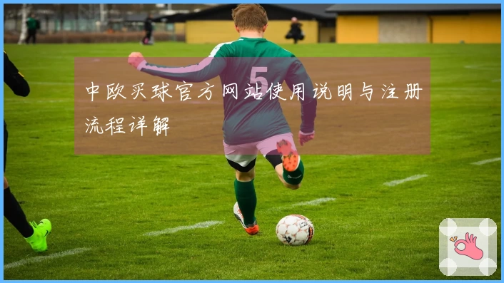 中欧买球官方网站使用说明与注册流程详解