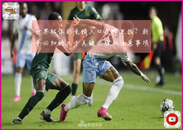 世界杯体彩竞猜入口在哪里找？新手必知的几个关键步骤和注意事项