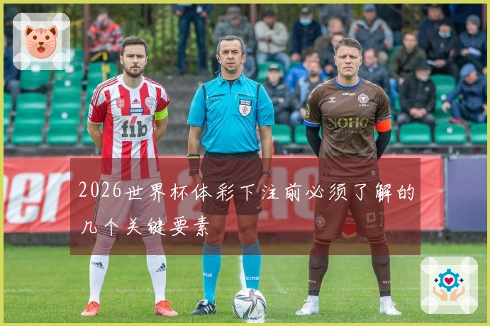2026世界杯体彩下注前必须了解的几个关键要素