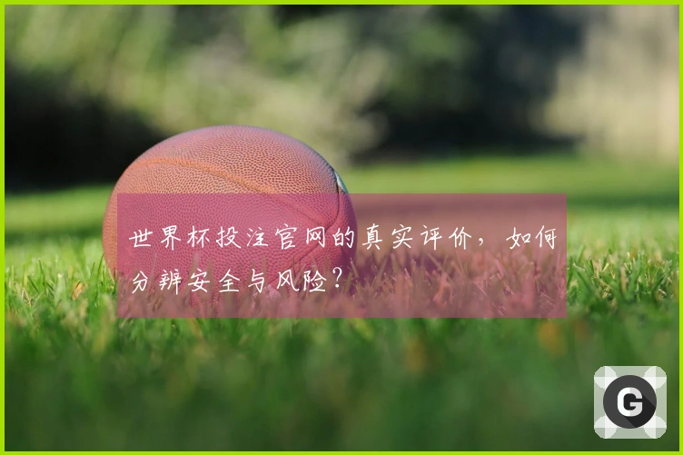 世界杯投注官网的真实评价，如何分辨安全与风险？