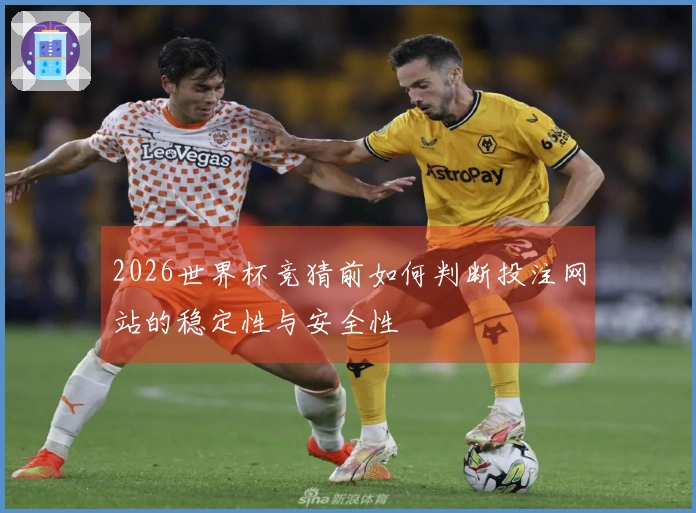 2026世界杯竞猜前如何判断投注网站的稳定性与安全性