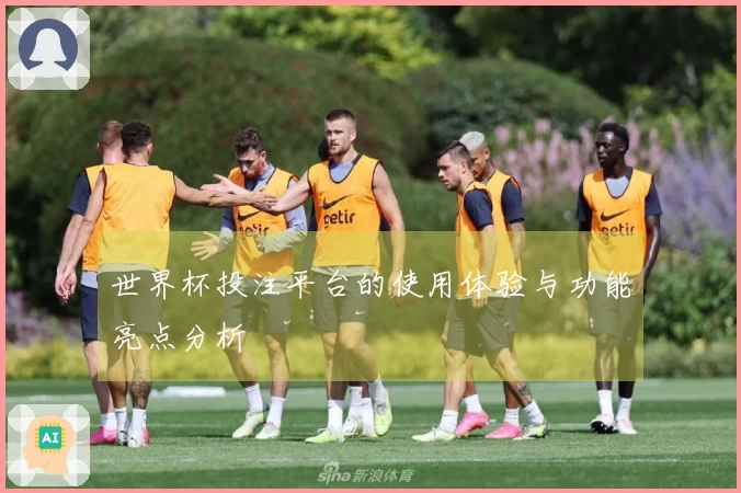 世界杯投注平台的使用体验与功能亮点分析