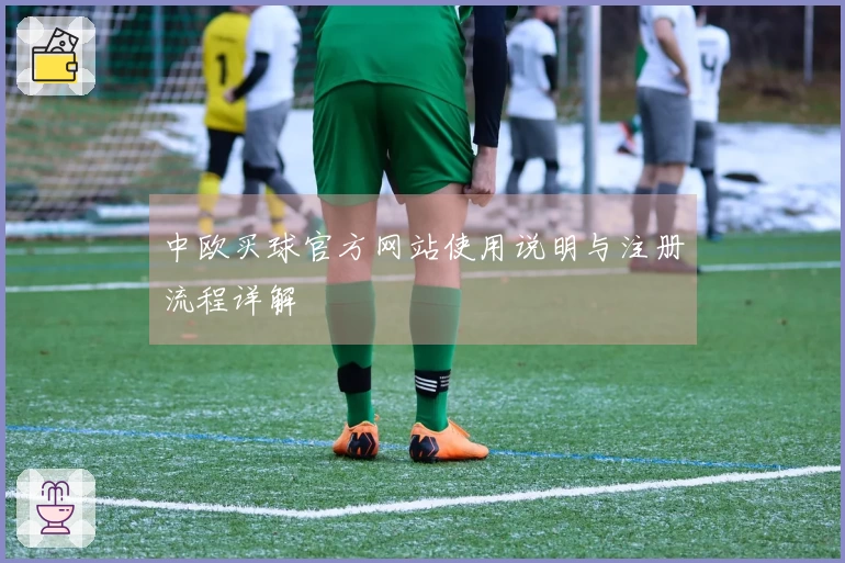 中欧买球官方网站使用说明与注册流程详解